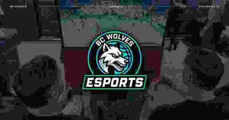 „Wolves Twinsbet“ kviečia krepšinio gerbėjus į NBA2K25 turnyrą